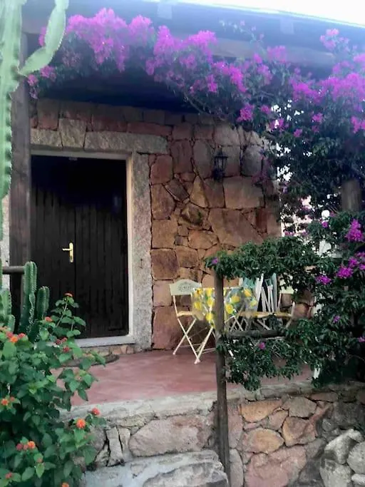 Buganvillea Cottage: Un Nido A 200 Mt. Dal Mare 포르토 폴로 펜션