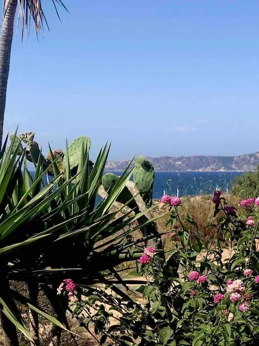 Buganvillea Cottage: Un Nido A 200 Mt. Dal Mare 포르토 폴로 0*,