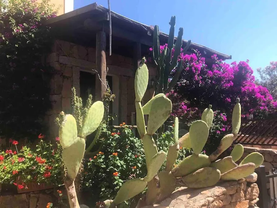 Buganvillea Cottage: Un Nido A 200 Mt. Dal Mare 포르토 폴로 펜션